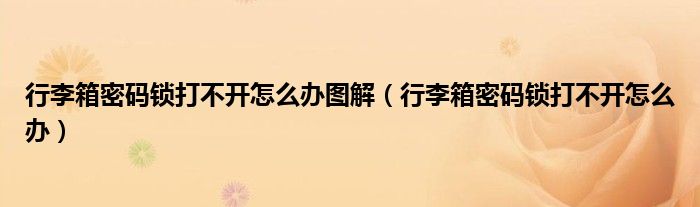 行李箱密码锁打不开怎么办图解（行李箱密码锁打不开怎么办）