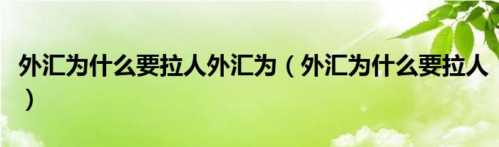 外汇为什么要拉人外汇为（外汇为什么要拉人）
