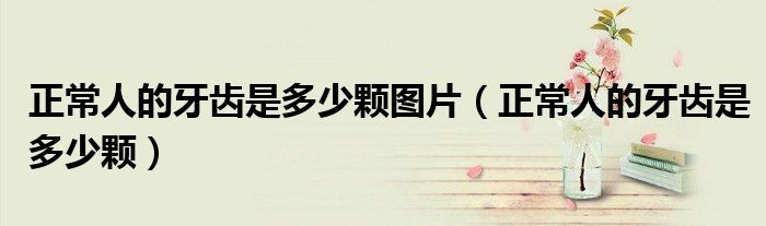 正常人的牙齿是多少颗图片（正常人的牙齿是多少颗）