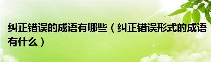纠正错误的成语有哪些（纠正错误形式的成语有什么）
