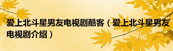 爱上北斗星男友电视剧酷客（爱上北斗星男友电视剧介绍）