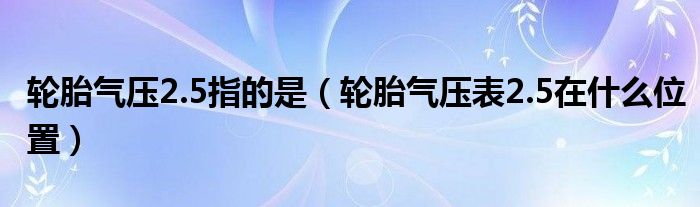 轮胎气压2.5指的是（轮胎气压表2.5在什么位置）