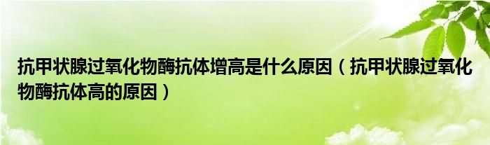 抗甲状腺过氧化物酶抗体增高是什么原因（抗甲状腺过氧化物酶抗体高的原因）