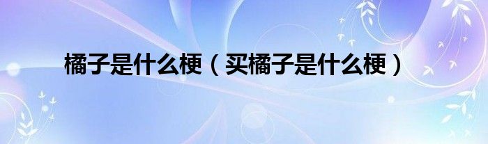 橘子是什么梗（买橘子是什么梗）