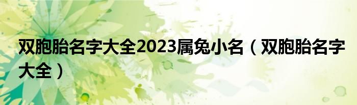 双胞胎名字大全2023属兔小名（双胞胎名字大全）