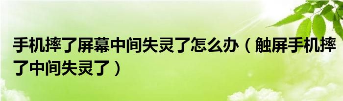 手机摔了屏幕中间失灵了怎么办（触屏手机摔了中间失灵了）