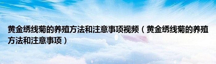 黄金绣线菊的养殖方法和注意事项视频（黄金绣线菊的养殖方法和注意事项）