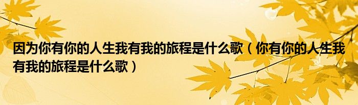 因为你有你的人生我有我的旅程是什么歌（你有你的人生我有我的旅程是什么歌）