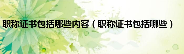 职称证书包括哪些内容（职称证书包括哪些）