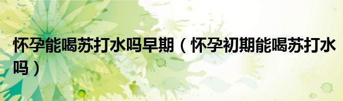 怀孕能喝苏打水吗早期（怀孕初期能喝苏打水吗）