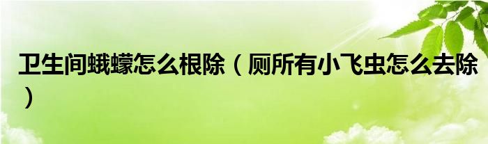 卫生间蛾蠓怎么根除（厕所有小飞虫怎么去除）