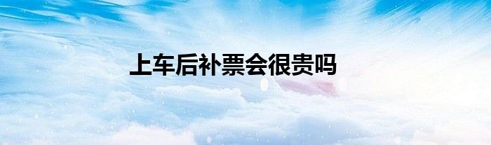 上车后补票会很贵吗