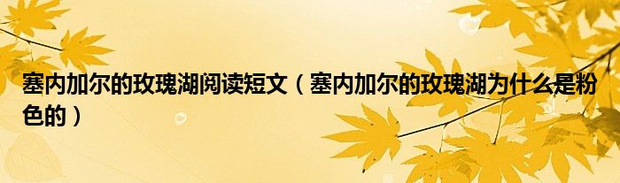 塞内加尔的玫瑰湖阅读短文（塞内加尔的玫瑰湖为什么是粉色的）