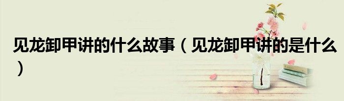 见龙卸甲讲的什么故事（见龙卸甲讲的是什么）