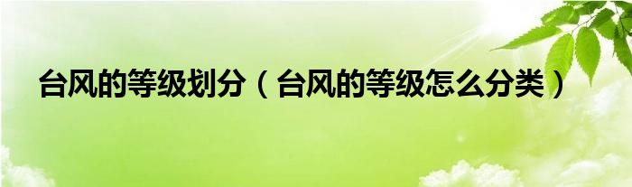 台风的等级划分（台风的等级怎么分类）
