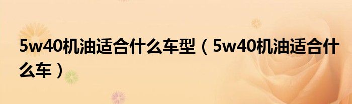 5w40机油适合什么车型（5w40机油适合什么车）