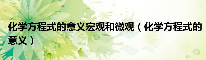 化学方程式的意义宏观和微观（化学方程式的意义）