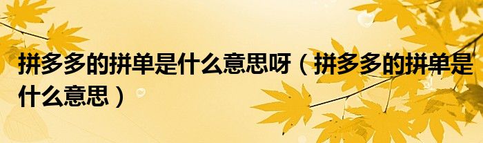 拼多多的拼单是什么意思呀（拼多多的拼单是什么意思）