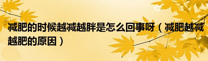 减肥的时候越减越胖是怎么回事呀（减肥越减越肥的原因）