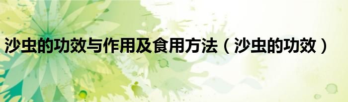 沙虫的功效与作用及食用方法（沙虫的功效）