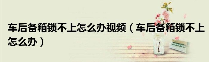 车后备箱锁不上怎么办视频（车后备箱锁不上怎么办）