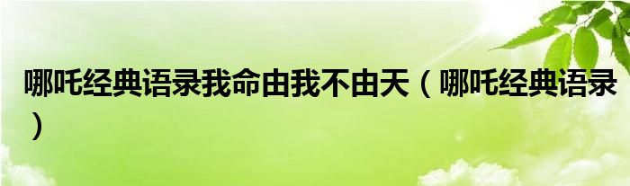 哪吒经典语录我命由我不由天（哪吒经典语录）