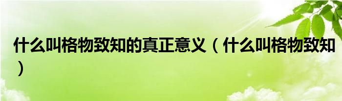 什么叫格物致知的真正意义（什么叫格物致知）