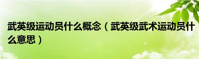 武英级运动员什么概念（武英级武术运动员什么意思）