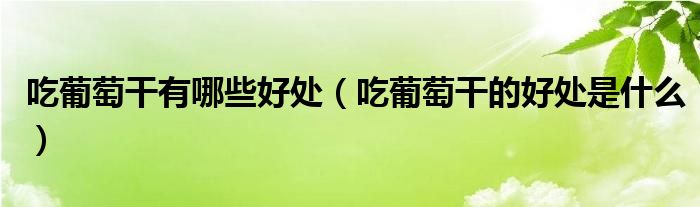 吃葡萄干有哪些好处（吃葡萄干的好处是什么）