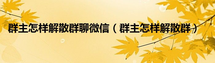 群主怎样解散群聊微信（群主怎样解散群）