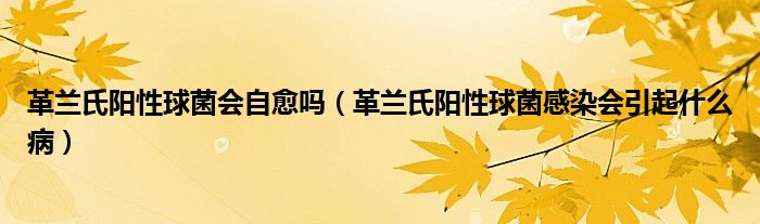 革兰氏阳性球菌会自愈吗（革兰氏阳性球菌感染会引起什么病）