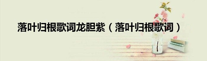 落叶归根歌词龙胆紫（落叶归根歌词）