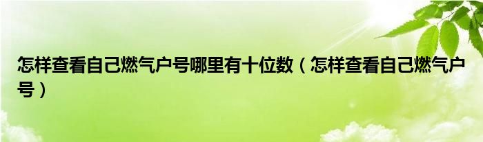 怎样查看自己燃气户号哪里有十位数（怎样查看自己燃气户号）