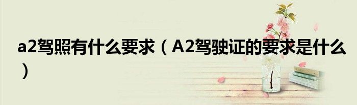 a2驾照有什么要求（A2驾驶证的要求是什么）