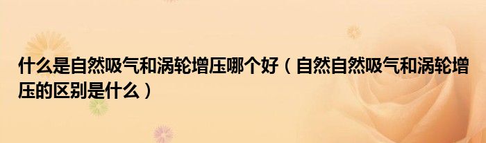 什么是自然吸气和涡轮增压哪个好（自然自然吸气和涡轮增压的区别是什么）