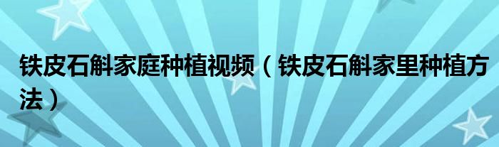 铁皮石斛家庭种植视频（铁皮石斛家里种植方法）
