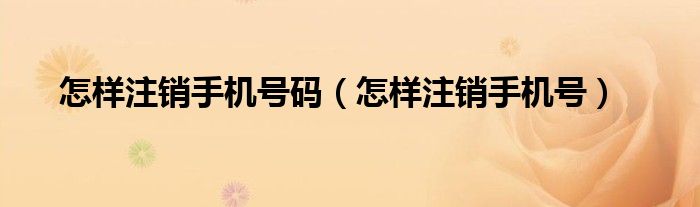 怎样注销手机号码（怎样注销手机号）