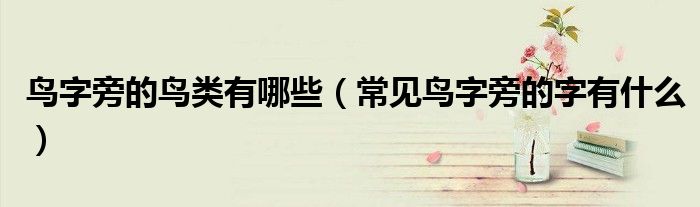 鸟字旁的鸟类有哪些（常见鸟字旁的字有什么）