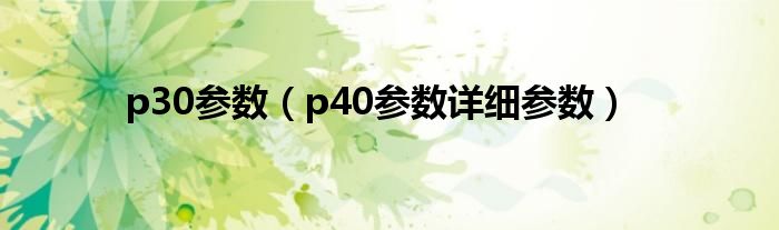 p30参数（p40参数详细参数）