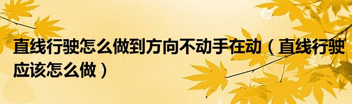 直线行驶怎么做到方向不动手在动（直线行驶应该怎么做）