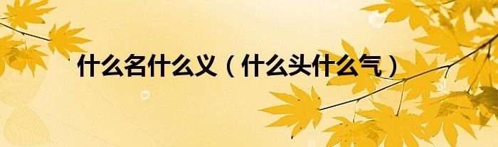 什么名什么义（什么头什么气）