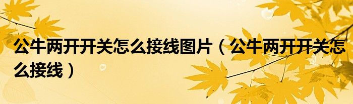 公牛两开开关怎么接线图片（公牛两开开关怎么接线）