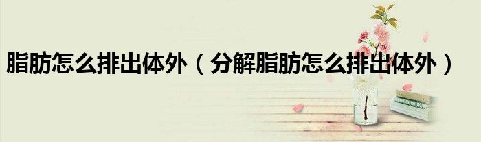 脂肪怎么排出体外（分解脂肪怎么排出体外）