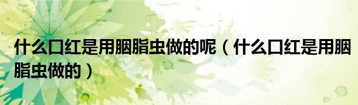 什么口红是用胭脂虫做的呢（什么口红是用胭脂虫做的）