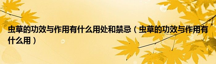 虫草的功效与作用有什么用处和禁忌（虫草的功效与作用有什么用）