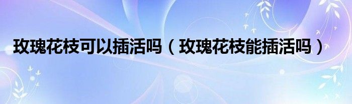 玫瑰花枝可以插活吗（玫瑰花枝能插活吗）