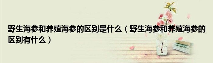野生海参和养殖海参的区别是什么（野生海参和养殖海参的区别有什么）