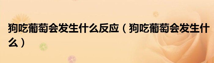 狗吃葡萄会发生什么反应（狗吃葡萄会发生什么）