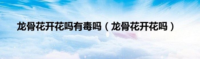 龙骨花开花吗有毒吗（龙骨花开花吗）
