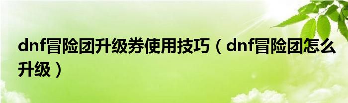 dnf冒险团升级券使用技巧（dnf冒险团怎么升级）